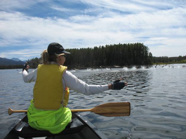 Canoeist excited about a gaggle of Canada geese taking off in front of her canoe, Shadow Mountain Lake, Colorado © 2012 Frosty Wooldridge